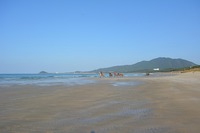 11.20DSC_0449.jpg