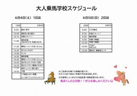 おとな乗馬学校資料.!!!!!.pdf HP.jpg