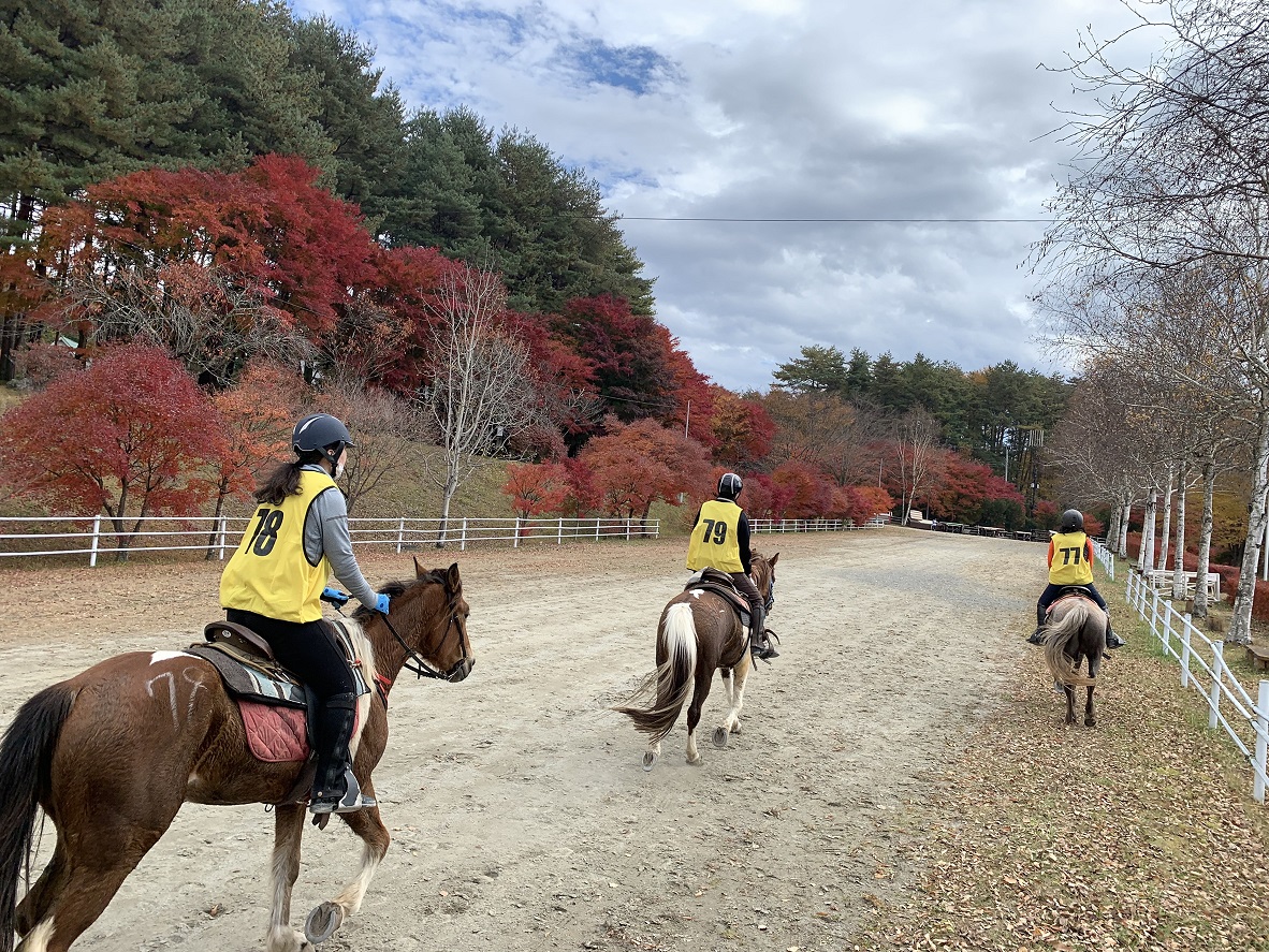 http://www.canacan.jp/news_yatsugatake/12989228198182.jpg