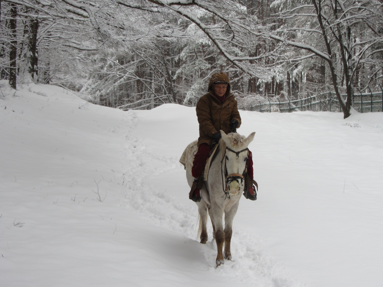 http://www.canacan.jp/news_yatsugatake/IMG_2414.JPG