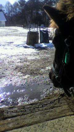 2012012314010000.jpg