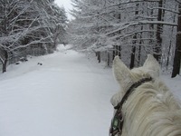s-雪八3.jpg