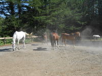 DSCN0590.jpg