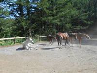 DSCN0591.jpg