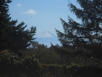 富士山.jpg