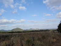 PA170416.jpg