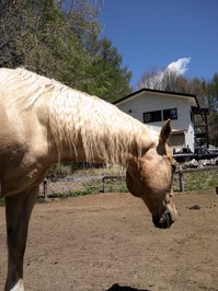 IMG_20130502_104712.jpg