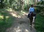 s-DSC00774.jpg