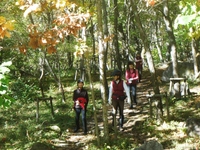 DSCF5542 (800x600).jpg
