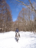 DSC01644 (600x800).jpg