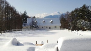 s-1391919653350.jpg