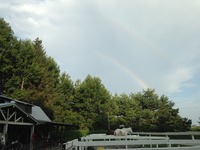 s-IMG_0381.jpg