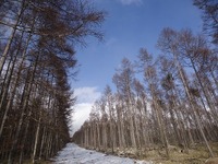s-DSC03909.jpg