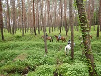 DSCN1945.jpg