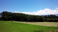 IMG_20150714_115814.jpg