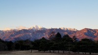 20170309_061516.jpg
