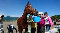 県馬場ｴﾝﾃﾞｭﾗﾝｽ大会_170604_0024.jpg