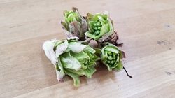 20180315_145846.jpg