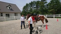 2018年7月夏の乗馬学校_180726_0035.jpg