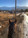 S__2801671.jpg
