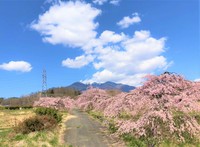 山４.jpg