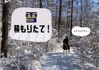 2022年２月１４日雪積もりたて　マイページjpg.jpg